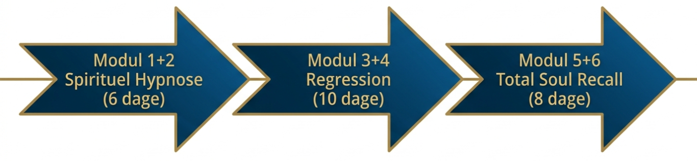 Infografik der viser forløbet for uddannelse til transpersonel regressionsterapeut med 3 moduler